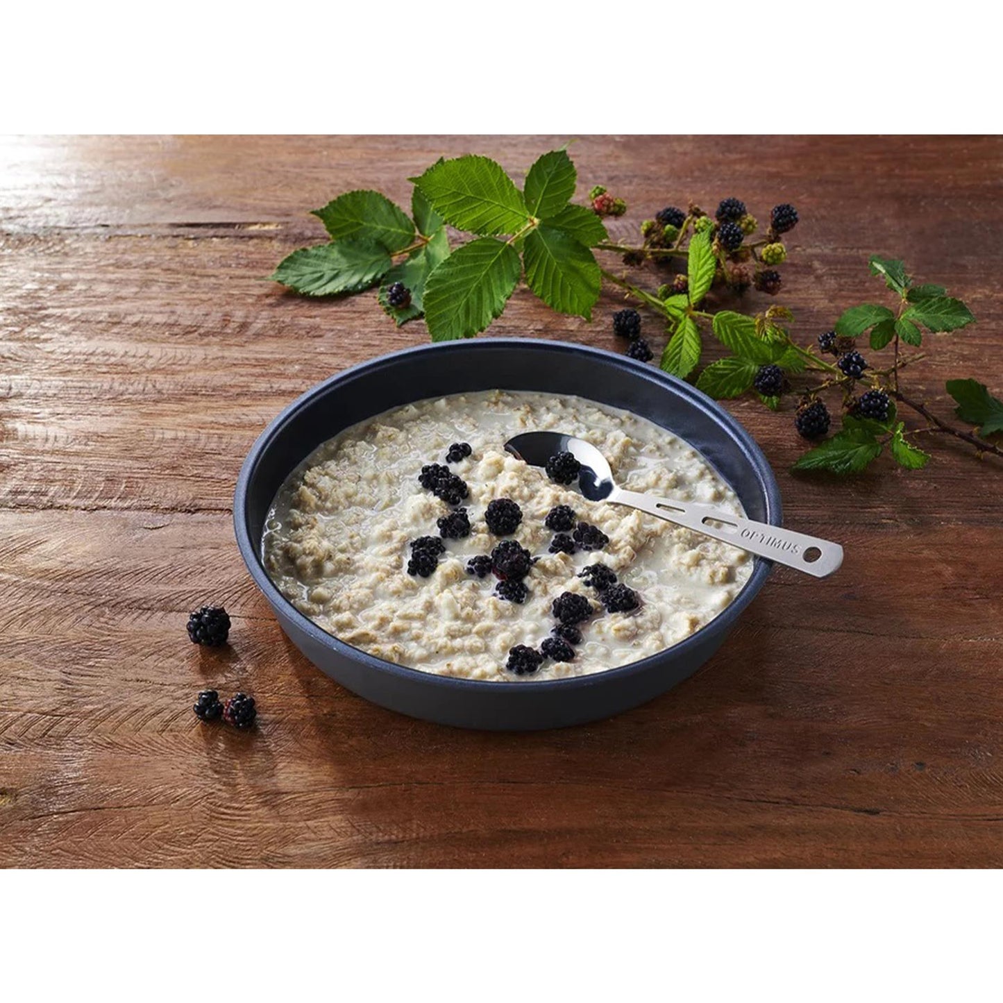 Trek'N Eat pusryčių patieklas "Proteininė košė" sublimuotas maistas su avižų koše ir šilauogėmis.
