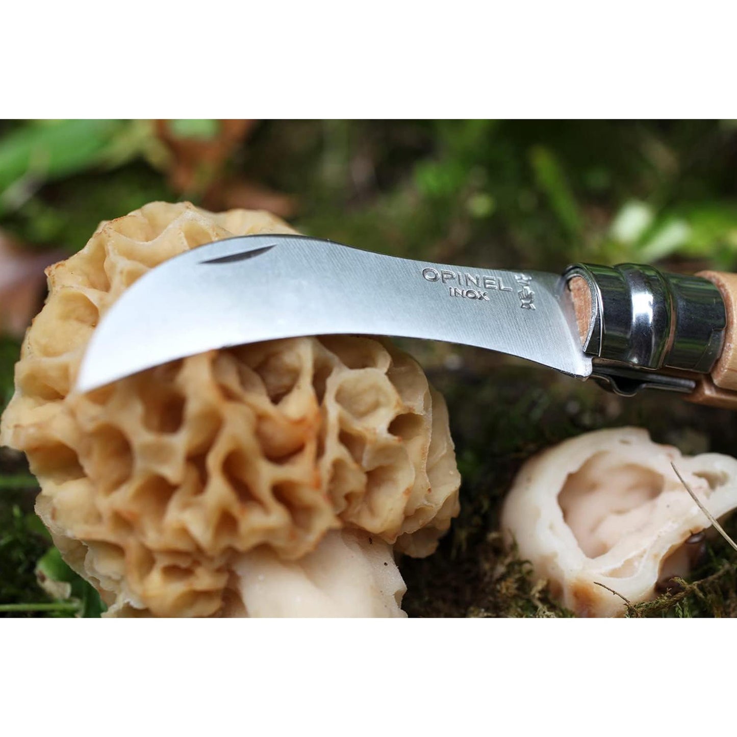 Opinel N°08 Mushroom atlenkiamas grybavimo peilis iš nerūdijančio plieno