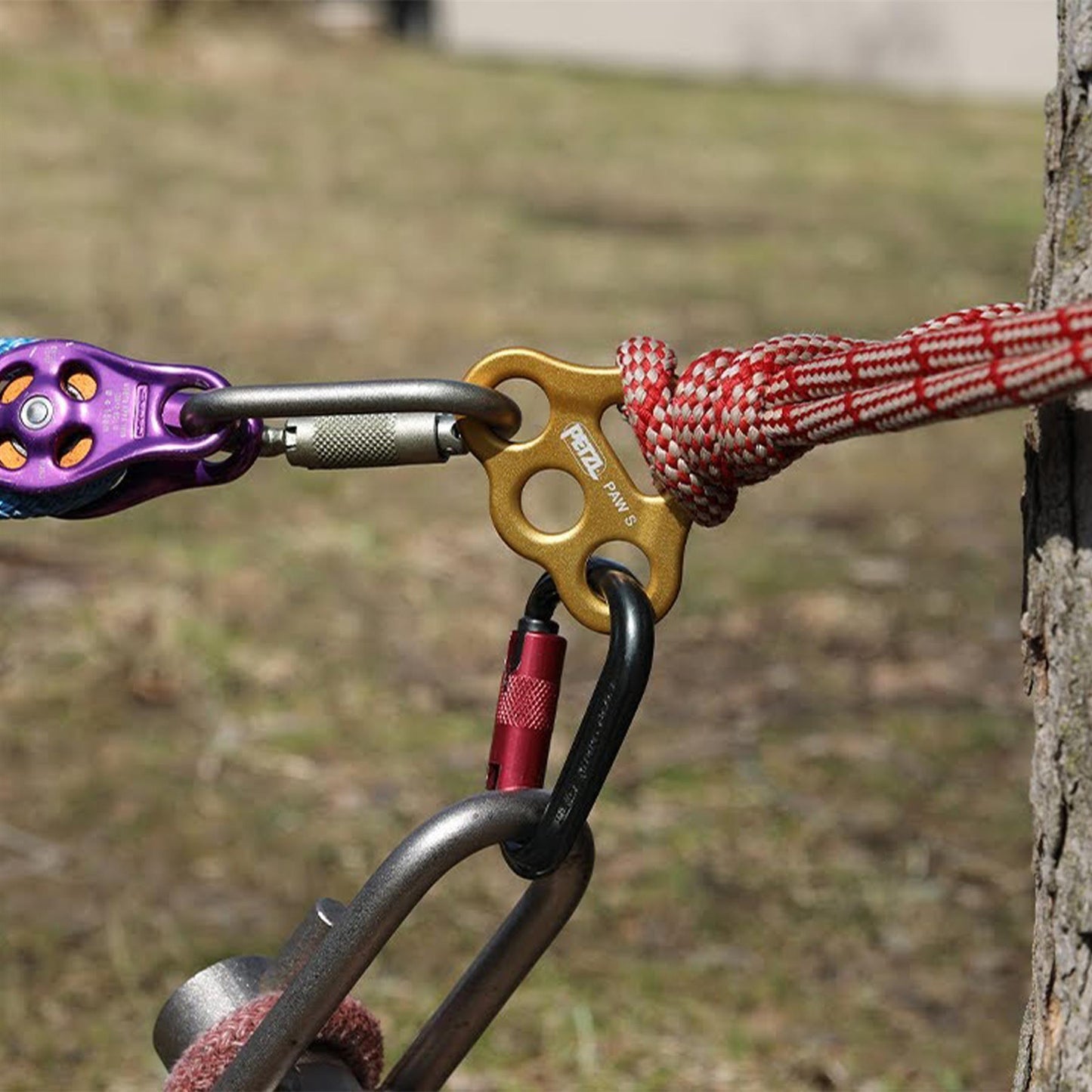 PETZL PAW S saugos taškų padėties plokštelė geltonos spalvos