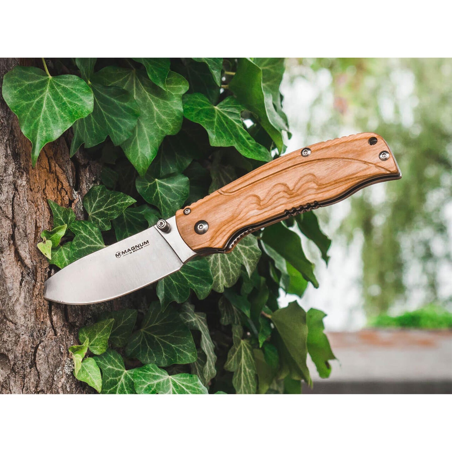 BOKER Pakka Hunter sulankstomas peilis su medine rankena ir nerūdijančio plieno geležte ant medžio kamieno tarp žalių lapų