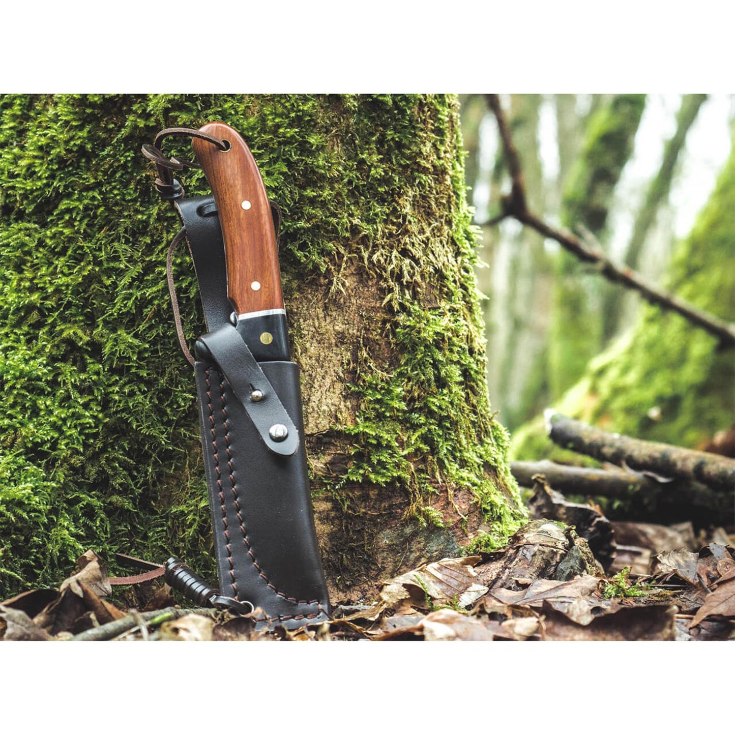 BOKER Elk Hunter Special medžioklinis peilis fiksuota geležte 440A plienas